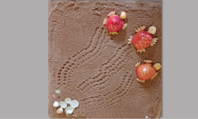 History, Charism and Spirituality of the Pontifical Mission Society of the Holy Childhood