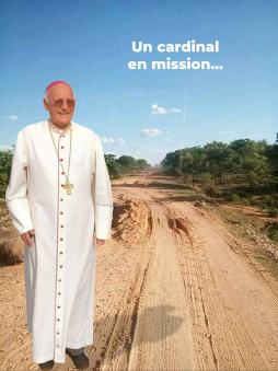 Un Cardinal en mision...